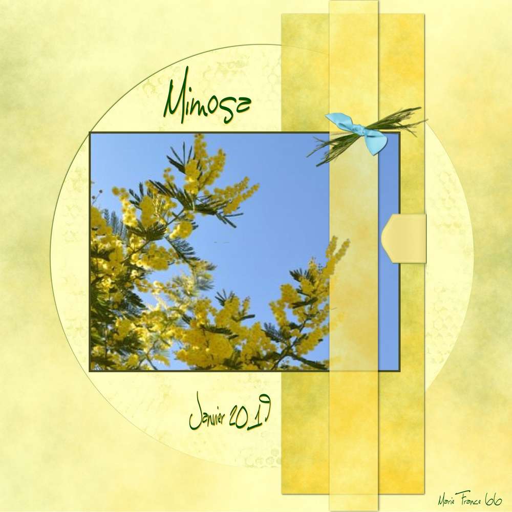 CHALLENGE ARC EN CIEL 20 JANVIER JAUNE 2