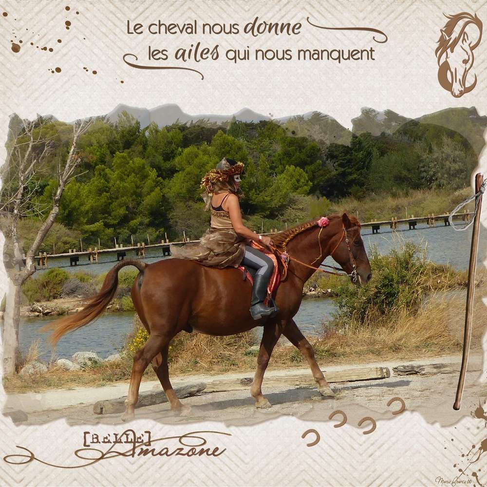 CHALLENGE ARC EN CIEL 22 JANVIER MARRON 1