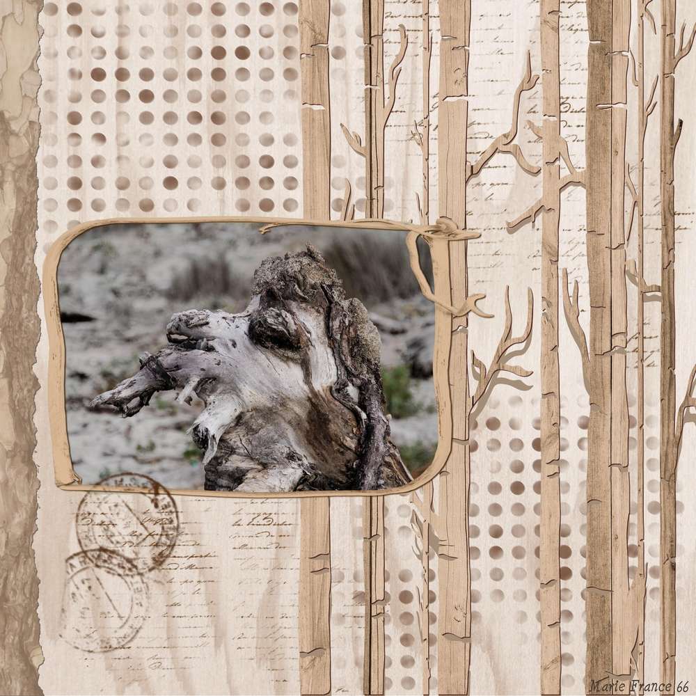 CHALLENGE ARC EN CIEL 22 JANVIER MARRON 2