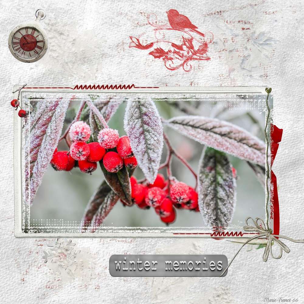 CHALLENGE ARC EN CIEL 26 JANVIER ROUGE 2