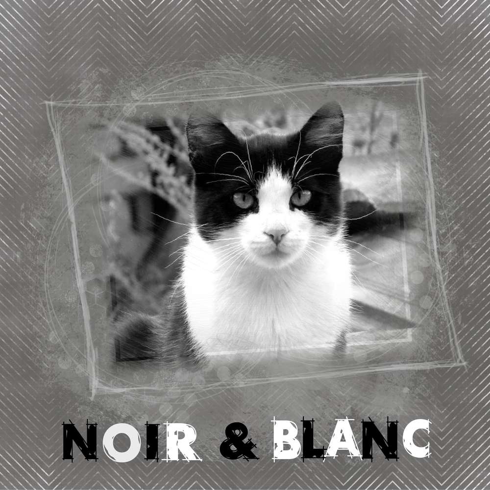 challenge arc en ciel 28012019 N&amp;B