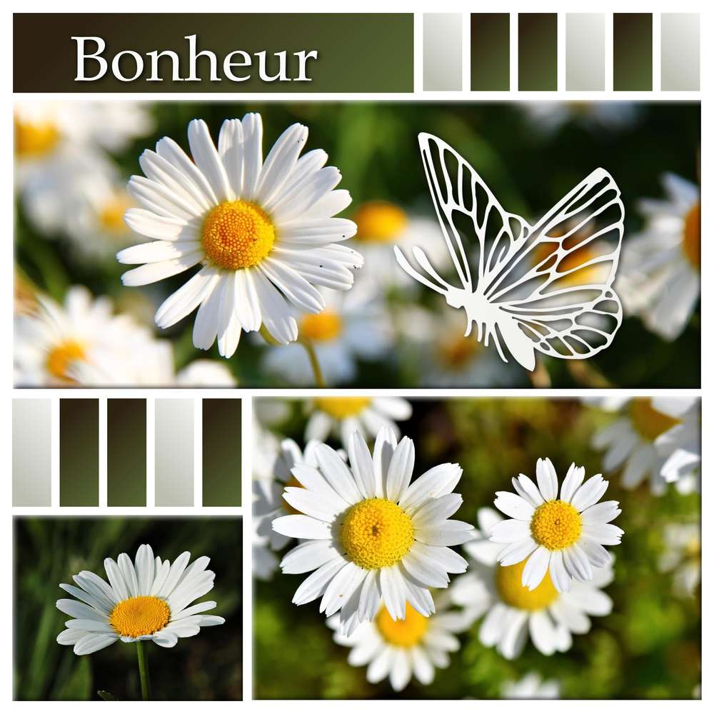 CHALLENGE ARC-EN-CIEL - BLANC