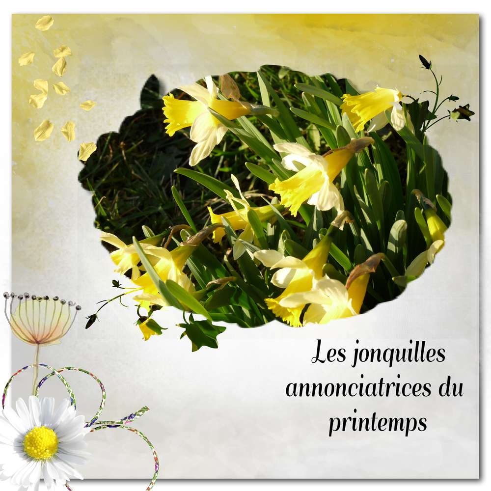 challenge arc en ciel jaune