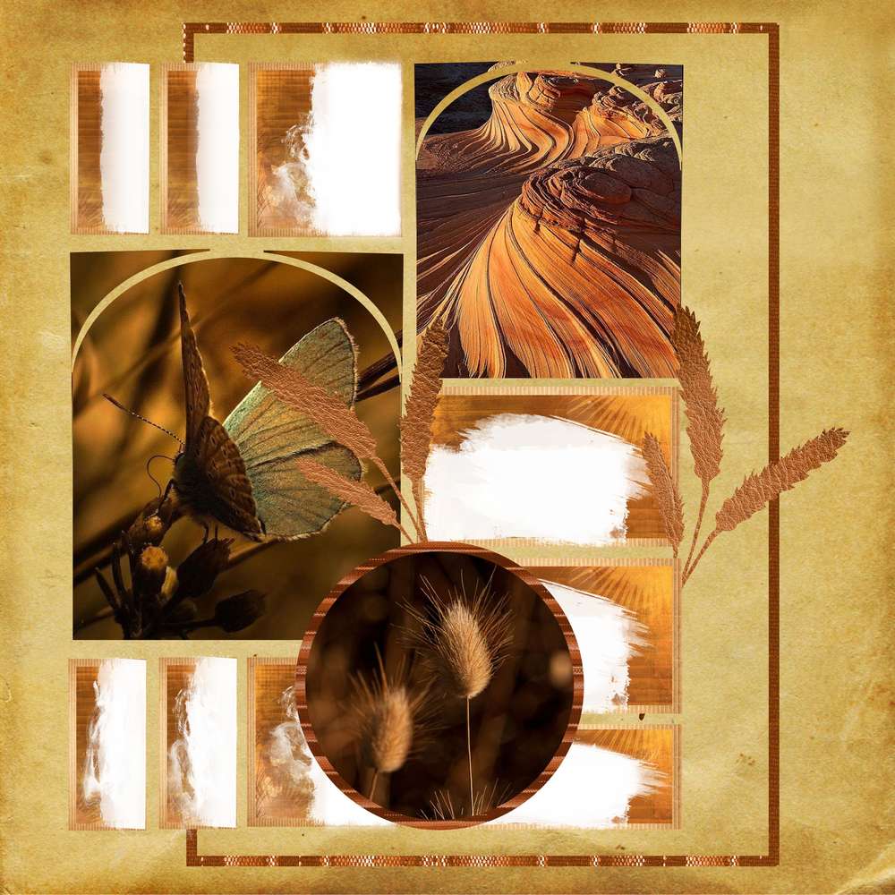 challenge arc-en -ciel marron