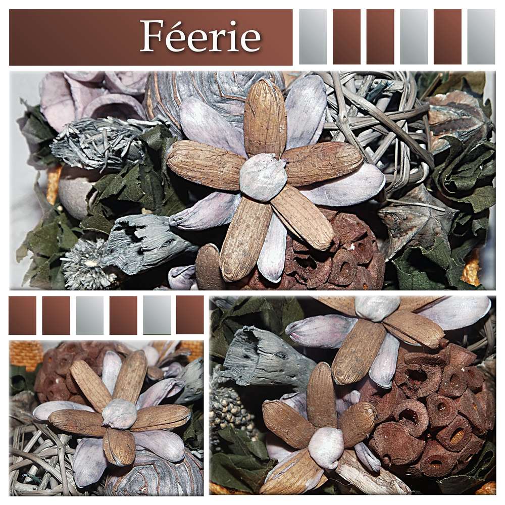 CHALLENGE ARC-EN-CIEL - MARRON