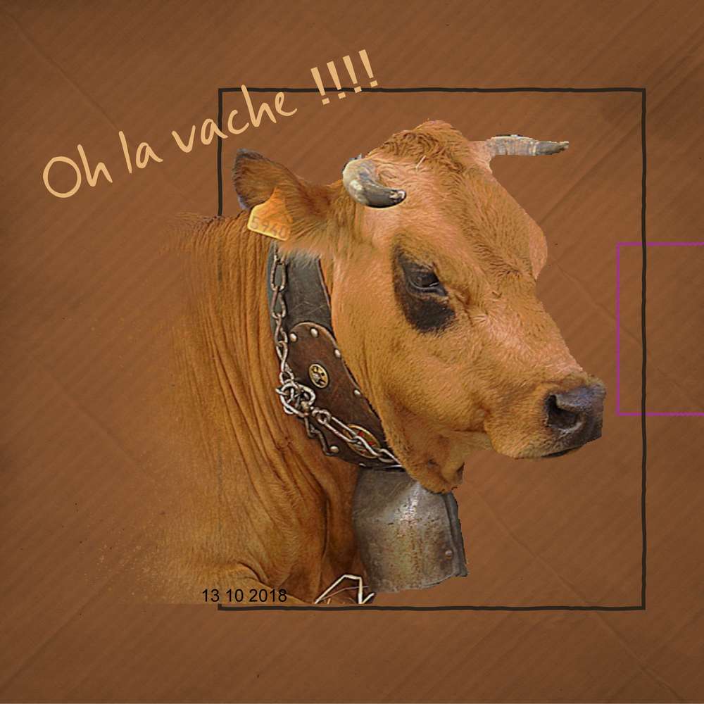 Challenge arc en ciel marron