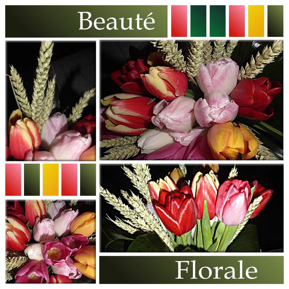 CHALLENGE ARC-EN-CIEL - MULTICOLORE