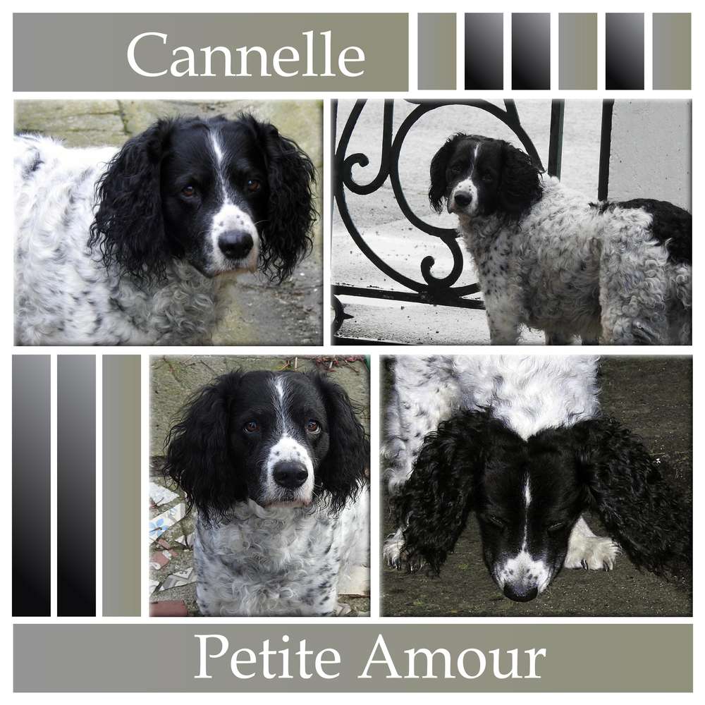 CHALLENGE ARC-EN-CIEL - NOIR ET BLANC