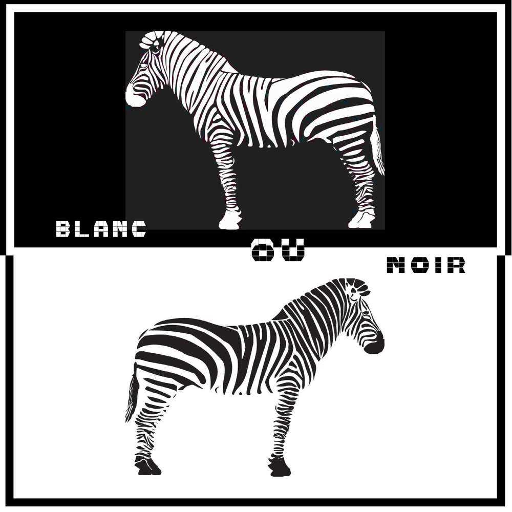 challenge arc en ciel noir et blanc