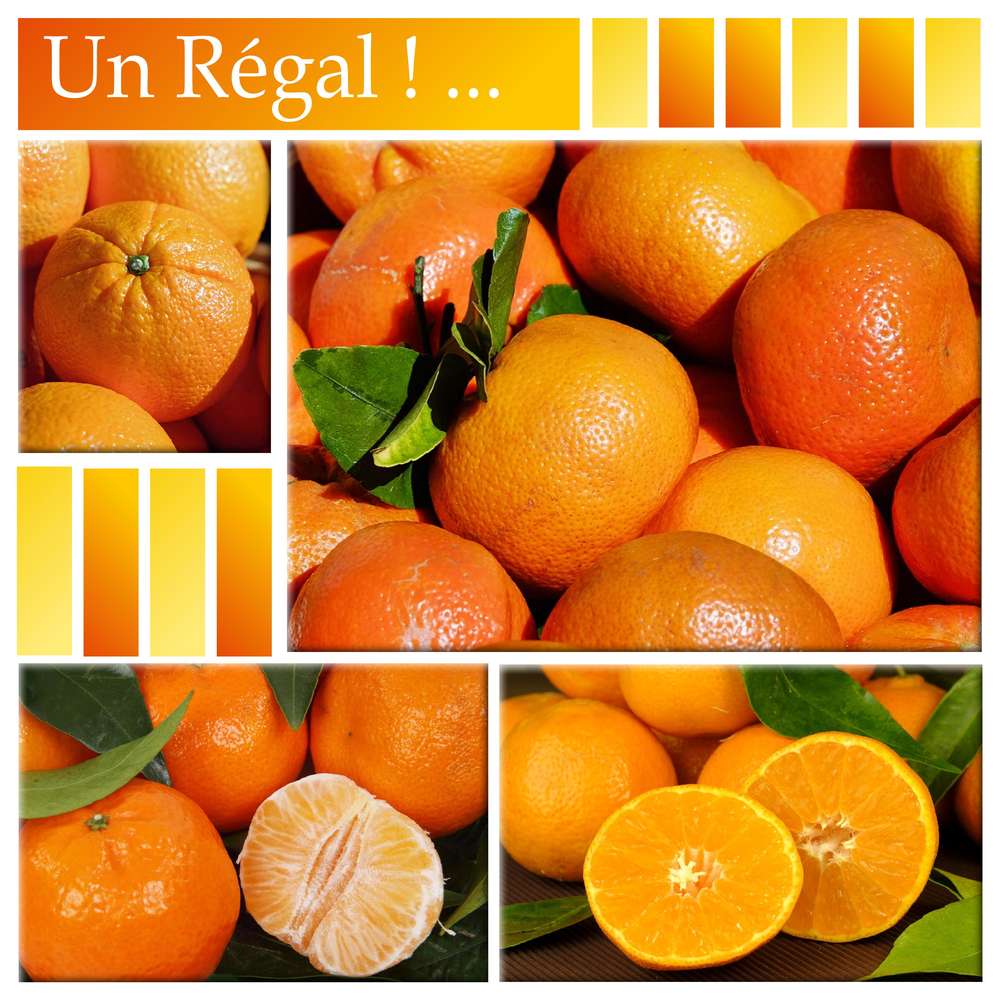 CHALLENGE ARC-EN-CIEL - ORANGE