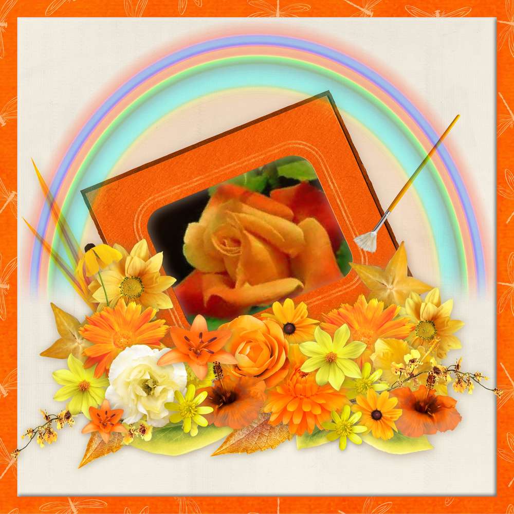 challenge arc-en-ciel orange