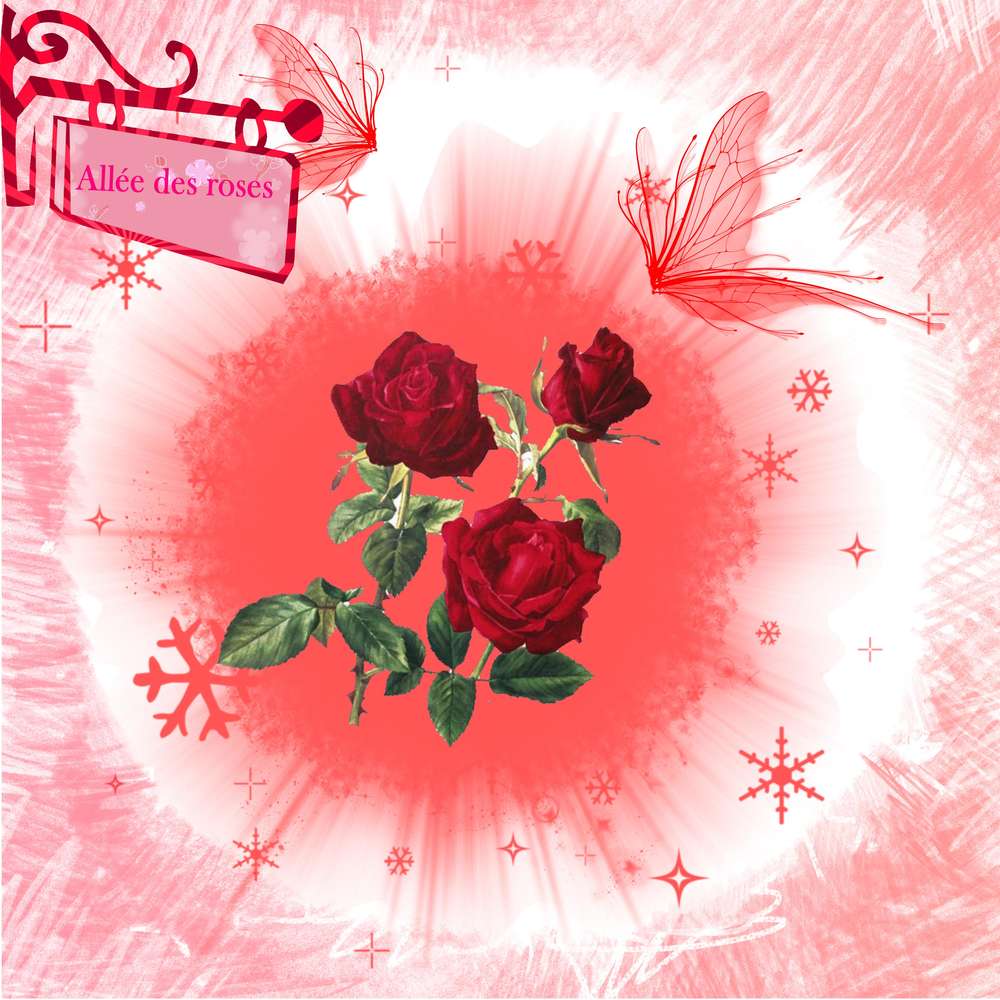 challenge arc-en-ciel rose