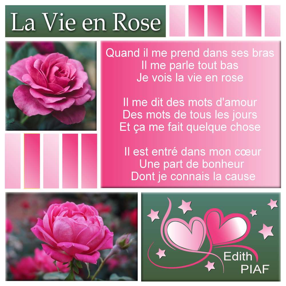 CHALLENGE ARC-EN-CIEL - ROSE