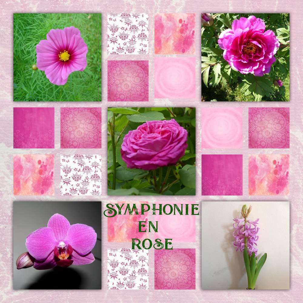 challenge arc en ciel rose