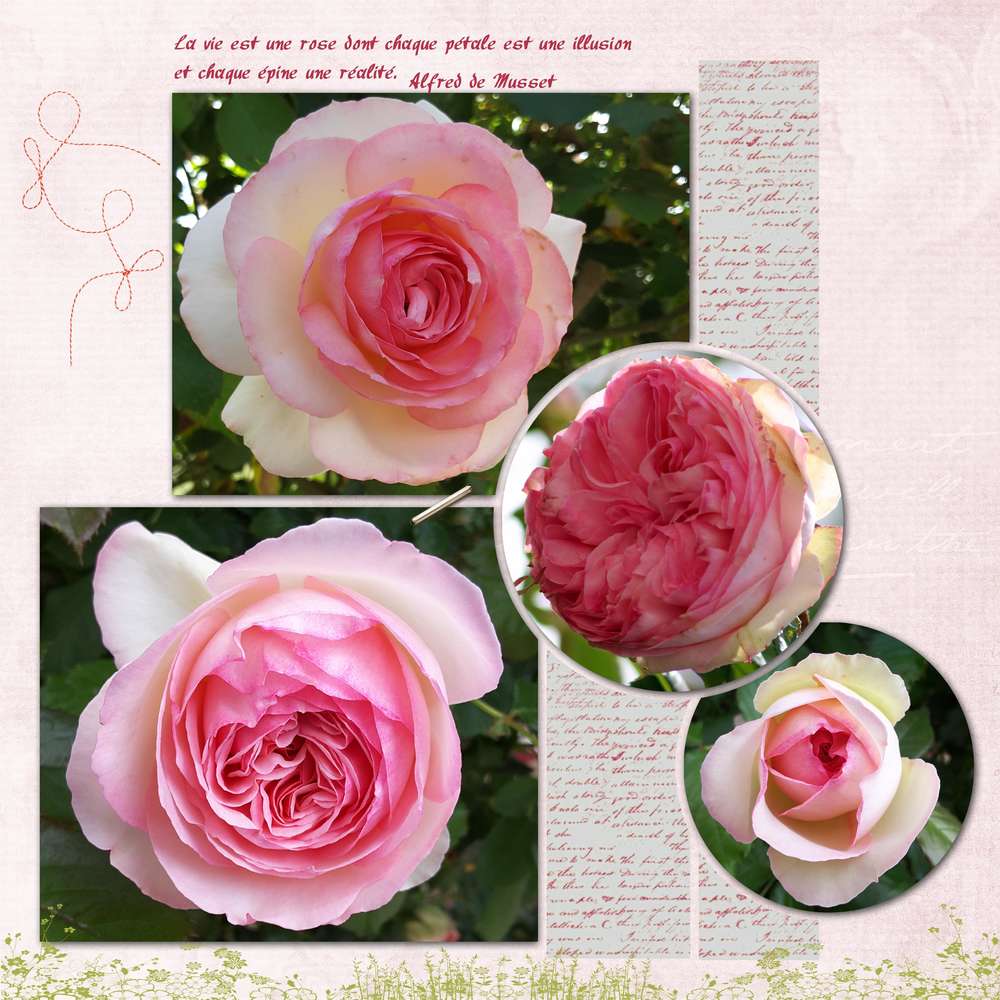 Challenge arc-en-ciel