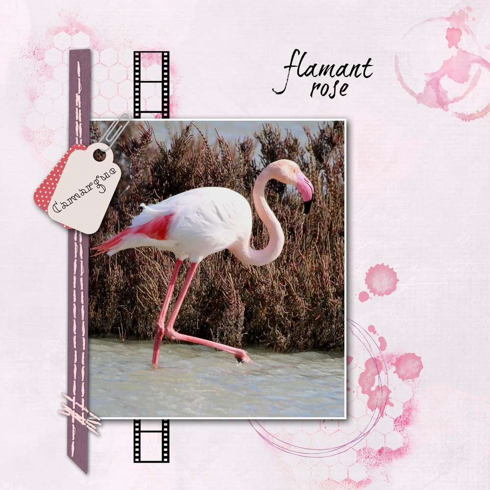 challenge arc en ciel