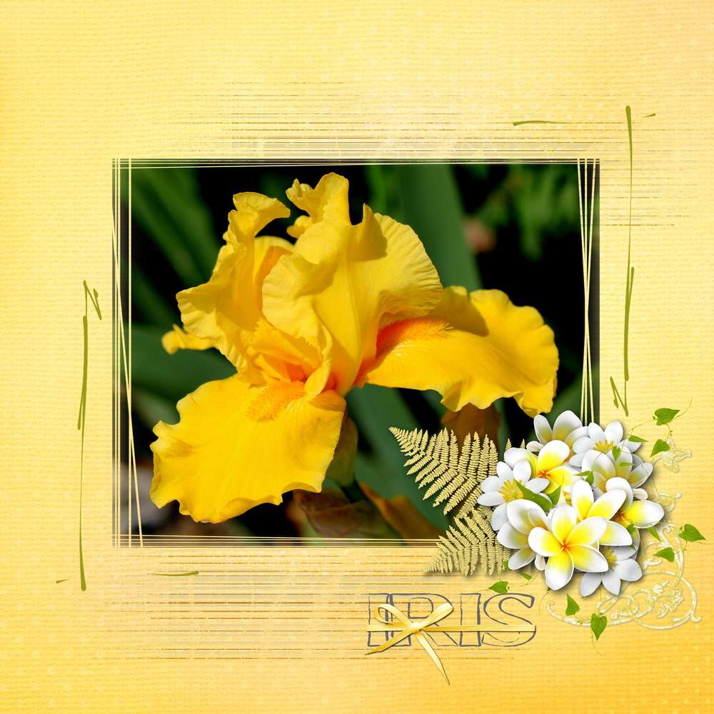 challenge arc en ciel