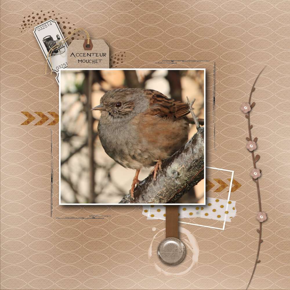 challenge arc en ciel