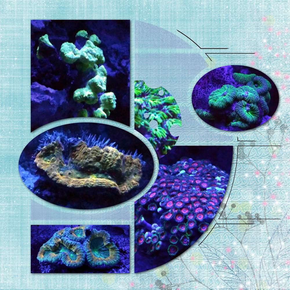 Challenge arc en ciel