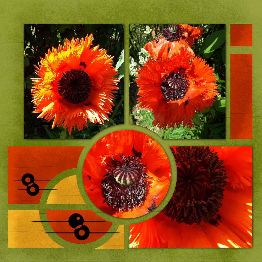 Challenge arc en ciel