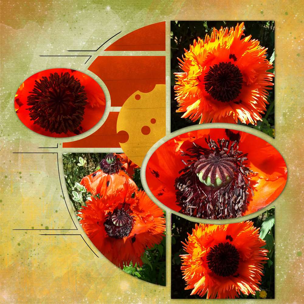 Challenge arc en ciel