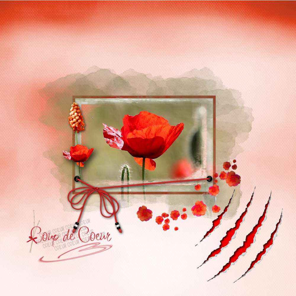 challenge arc en ciel