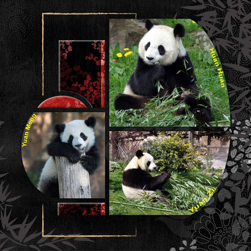 Challenge arc en ciel