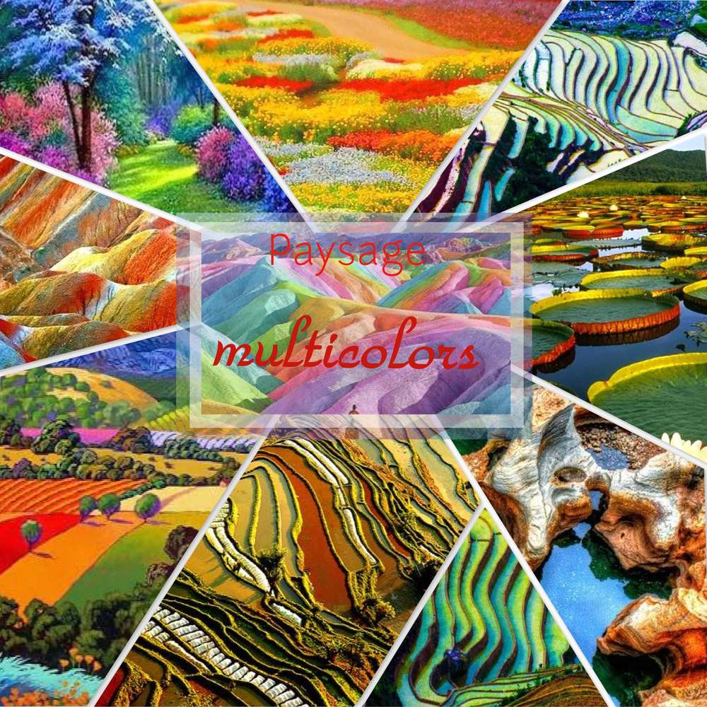 challenge arc-en-ciel