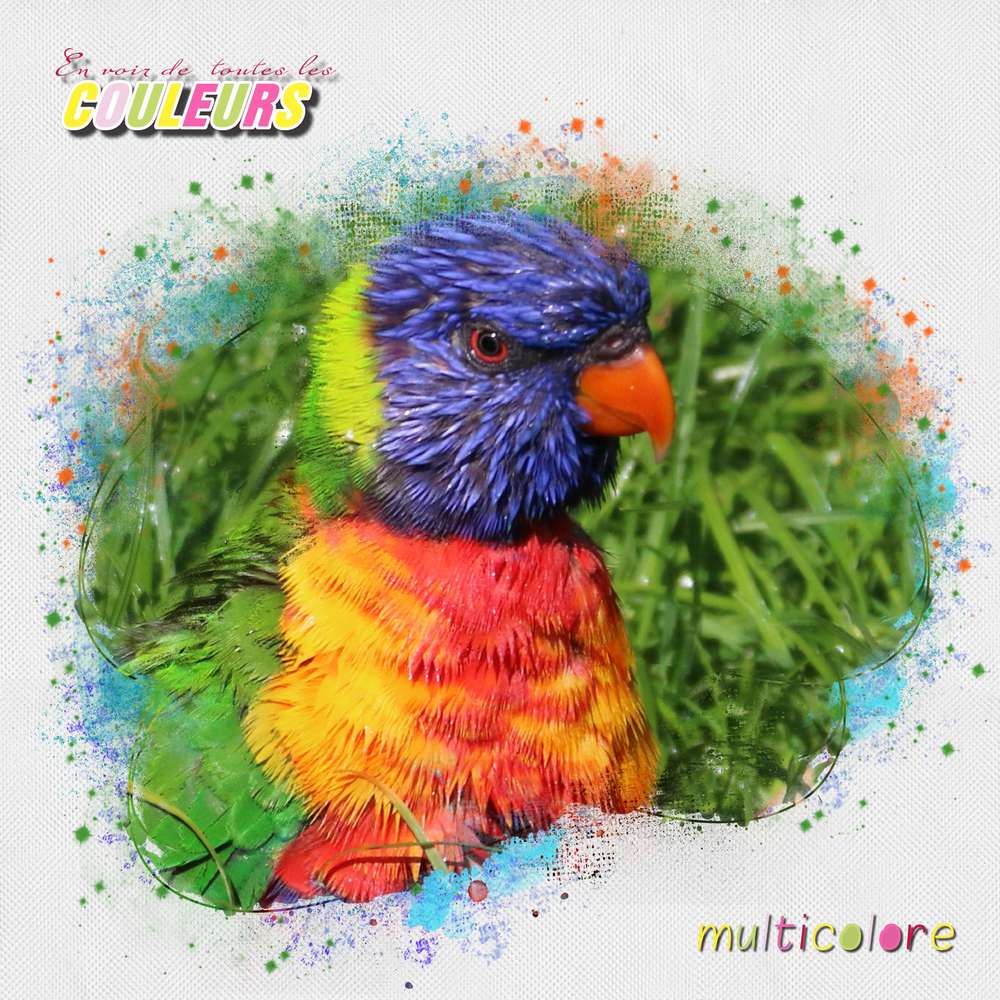 challenge arc en ciel