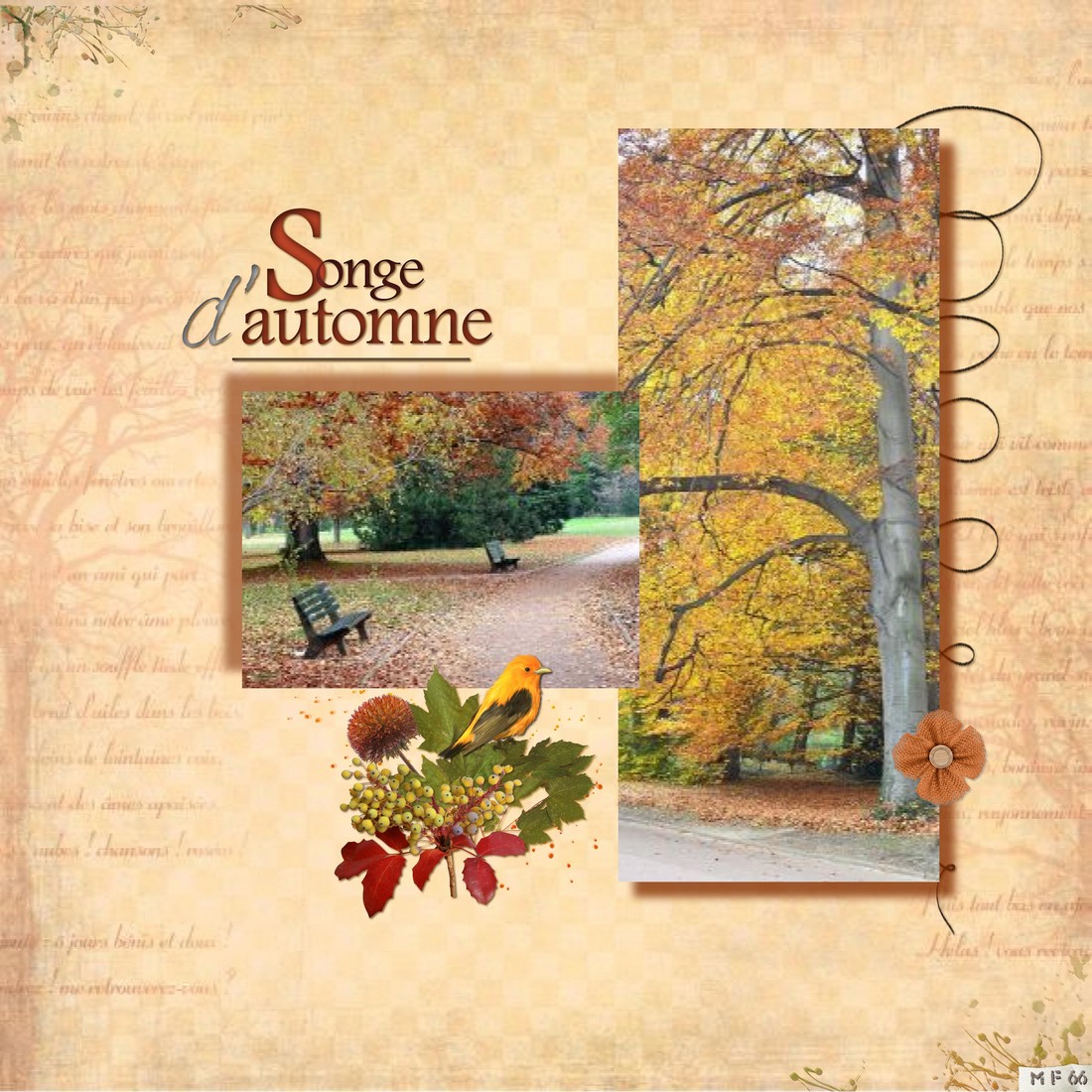 challenge automne  scraplift Moyson.jpg