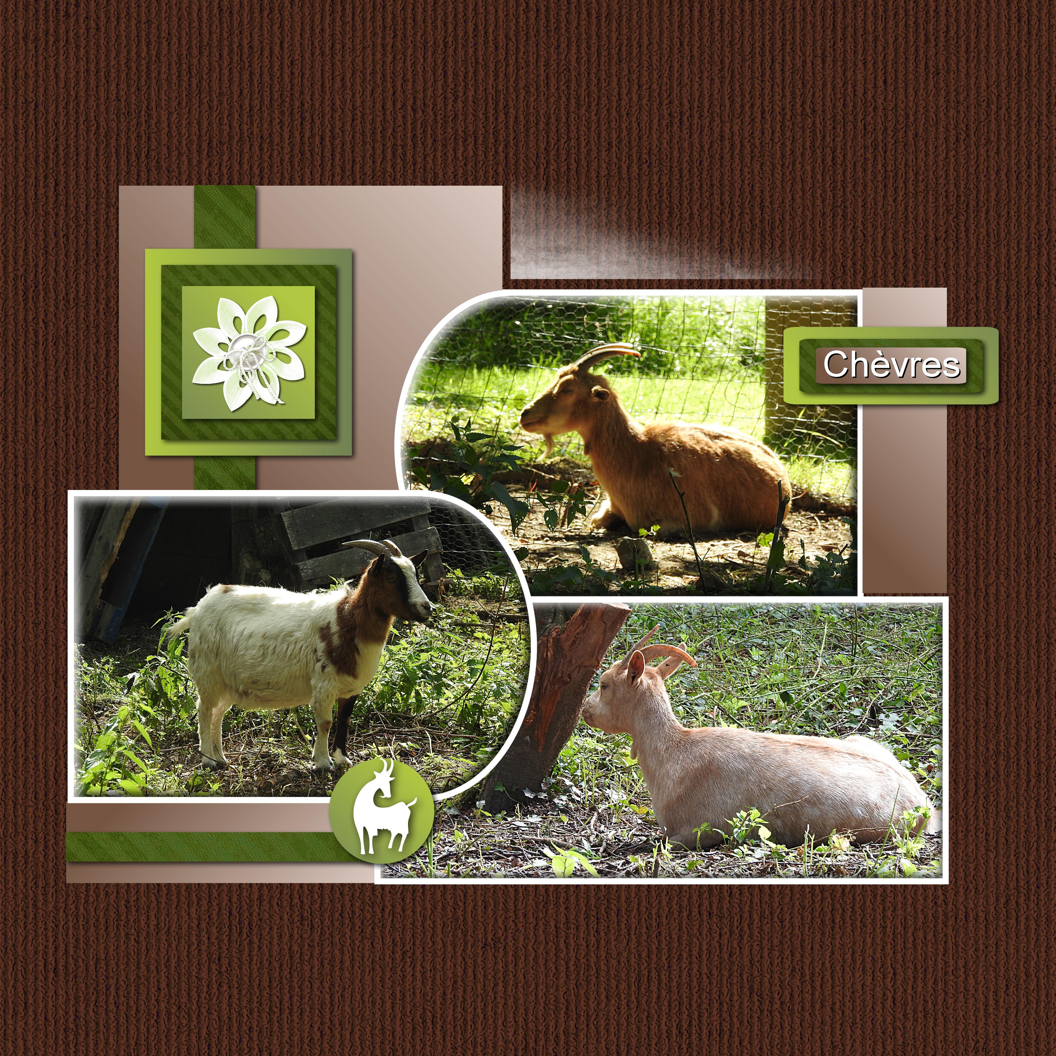 CHALLENGE AZZA SEPTEMBRE- CHEVRES