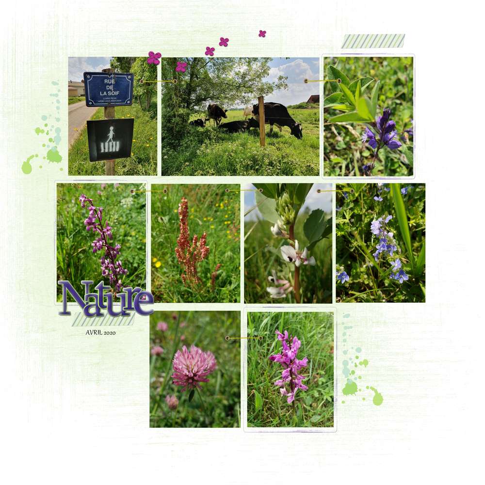 challenge ça pousse