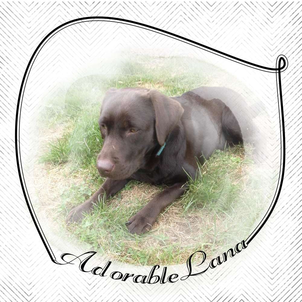 CHALLENGE CADRE LINEAIRE - CREATION ADORABLE LANA