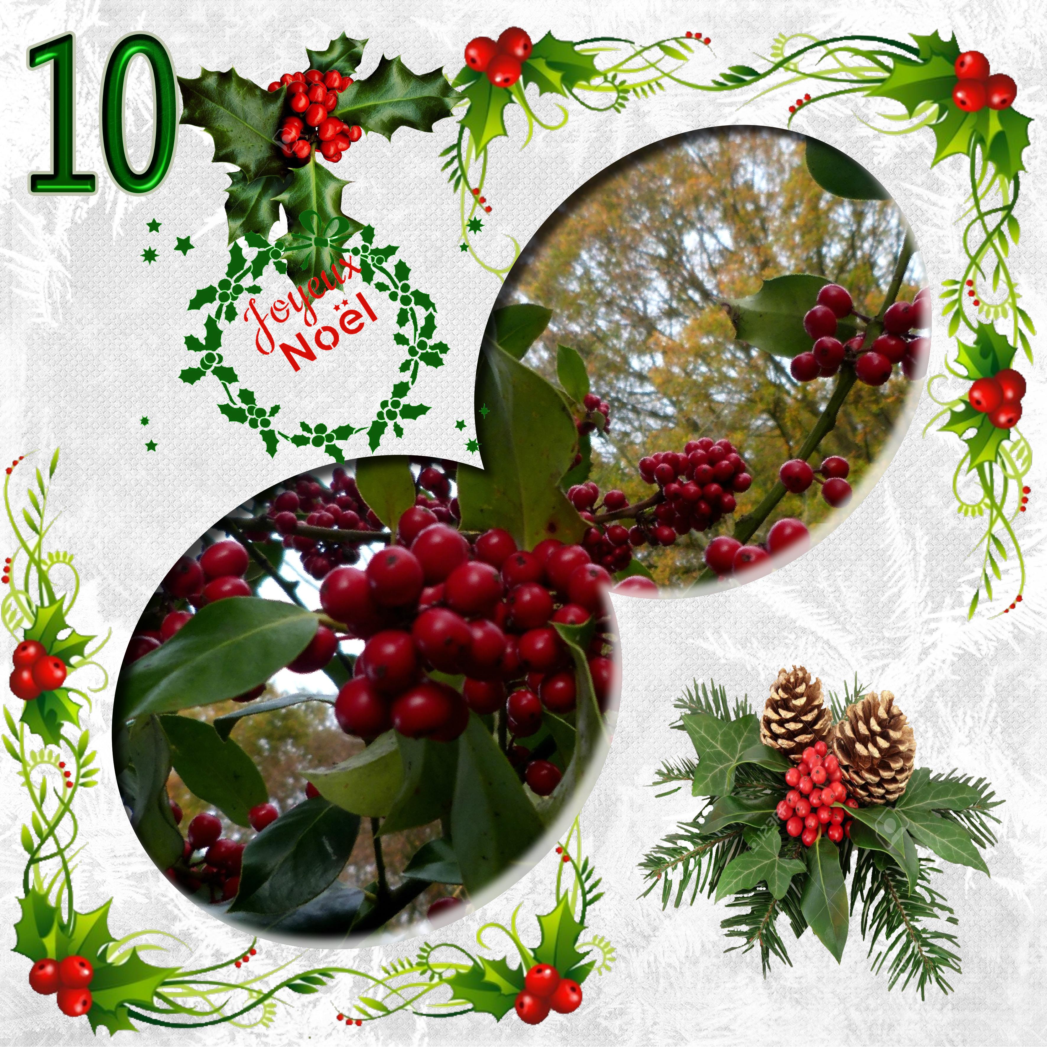 challenge calendrier de l'avent  n° 10.jpg