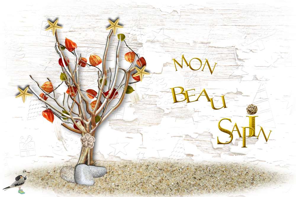 Challenge calendrier-sapin