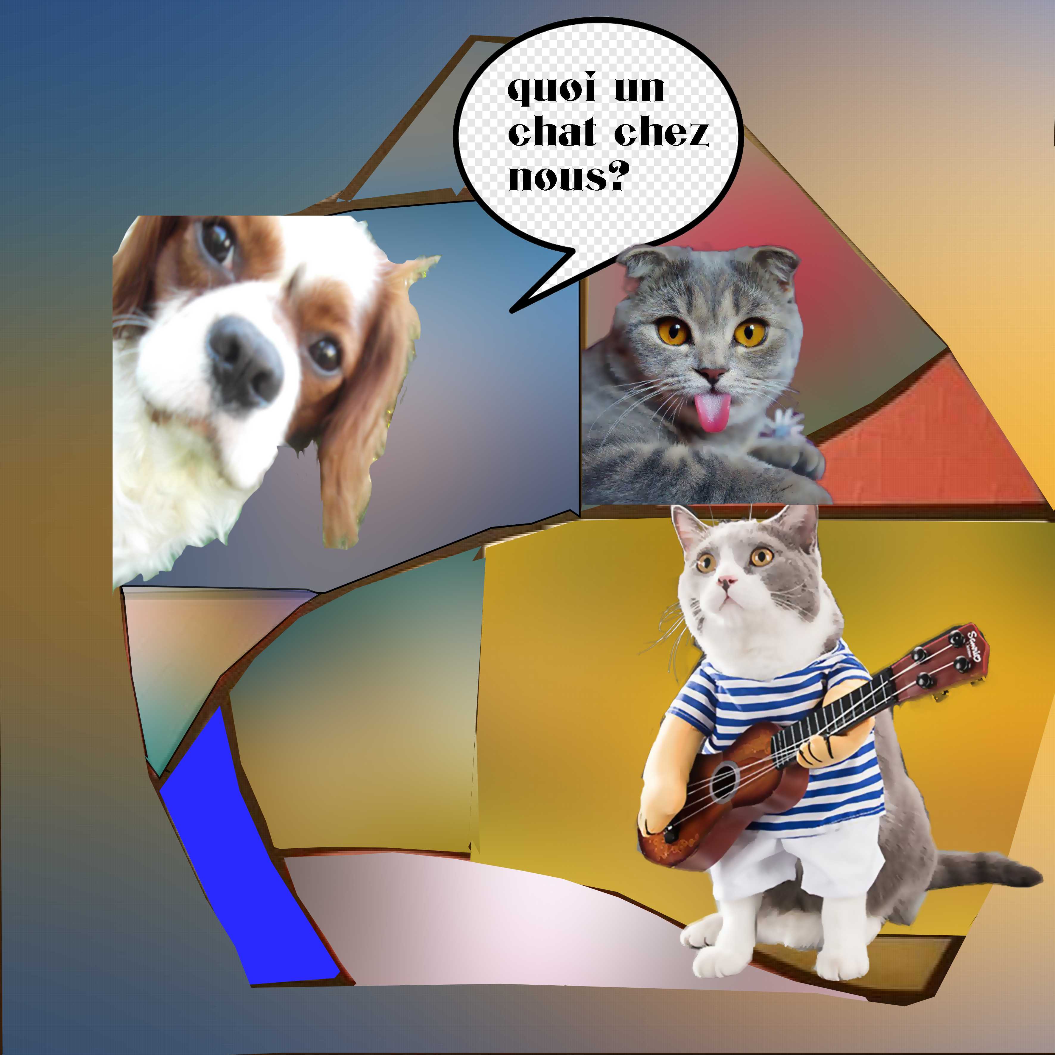 challenge chat sur un essai points jaunes.jpg