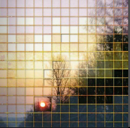 challenge Chlodie - arbre