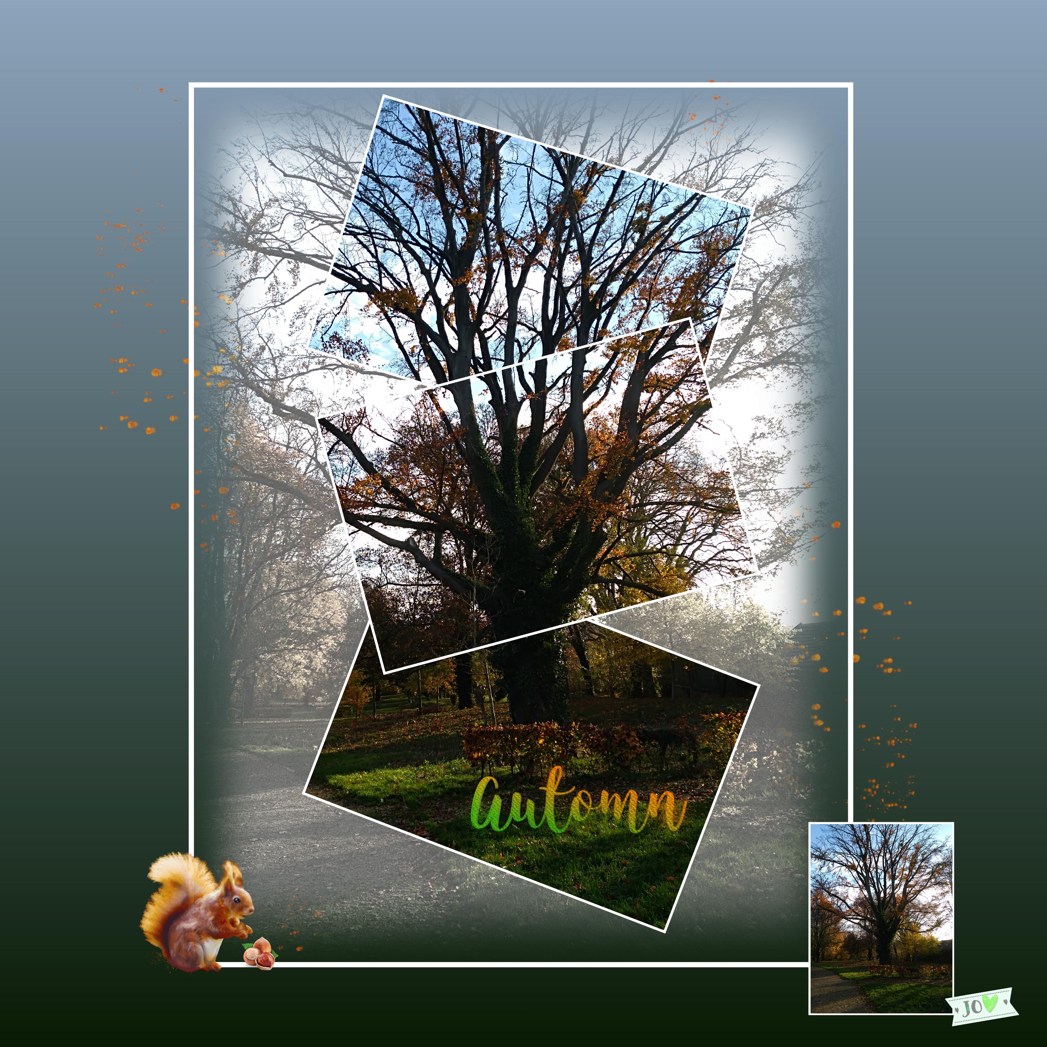 challenge Chlodie scrappatch.jpg