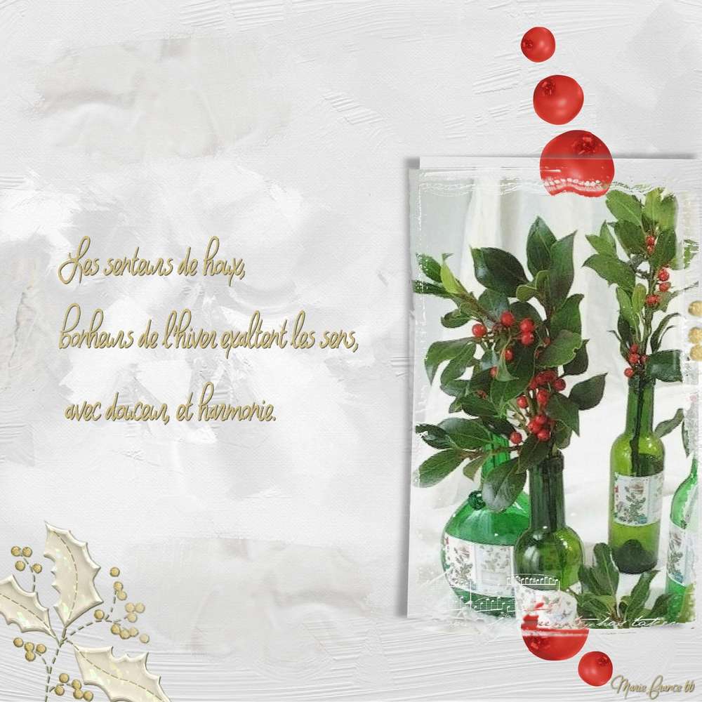 CHALLENGE CHLOE CDIP  10 HOUX