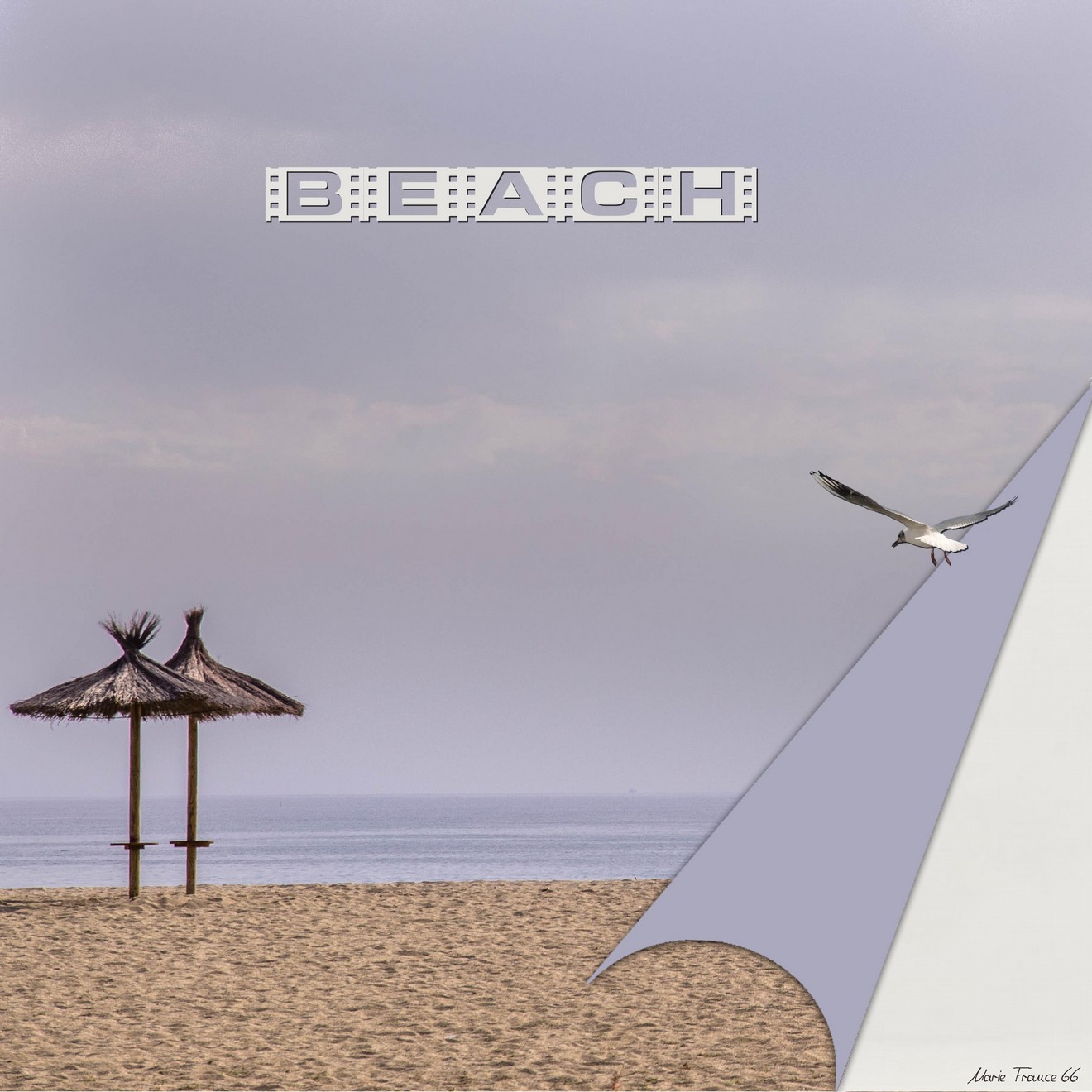 CHALLENGE COIN CORNE GILBERTE.jpg