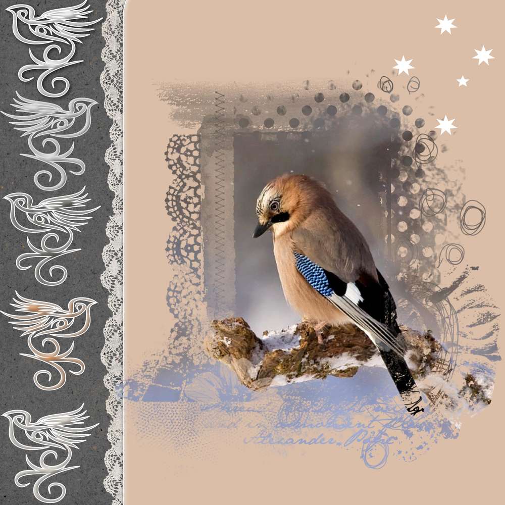 Challenge-combo-martinas