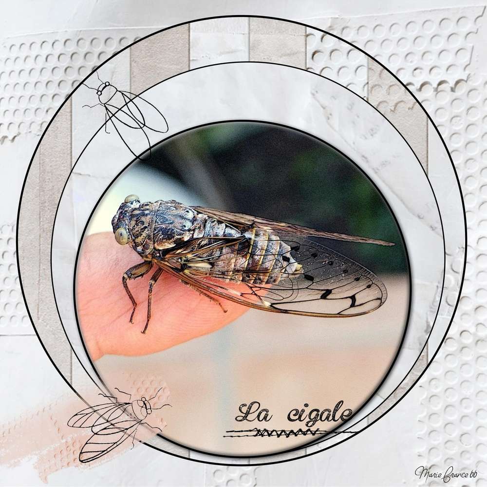 Challenge de Gilberte du 7 août 2017