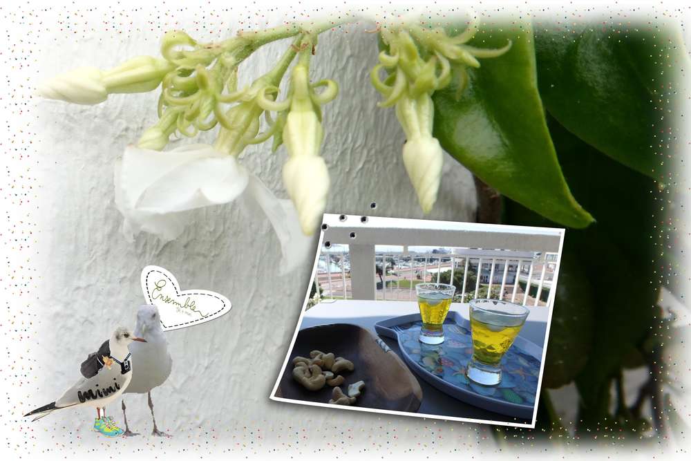 challenge du printemps-apéro