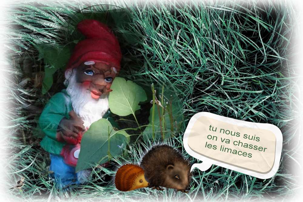 challenge du printemps-hérisson