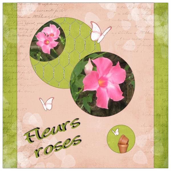 Challenge été de Mamyrose