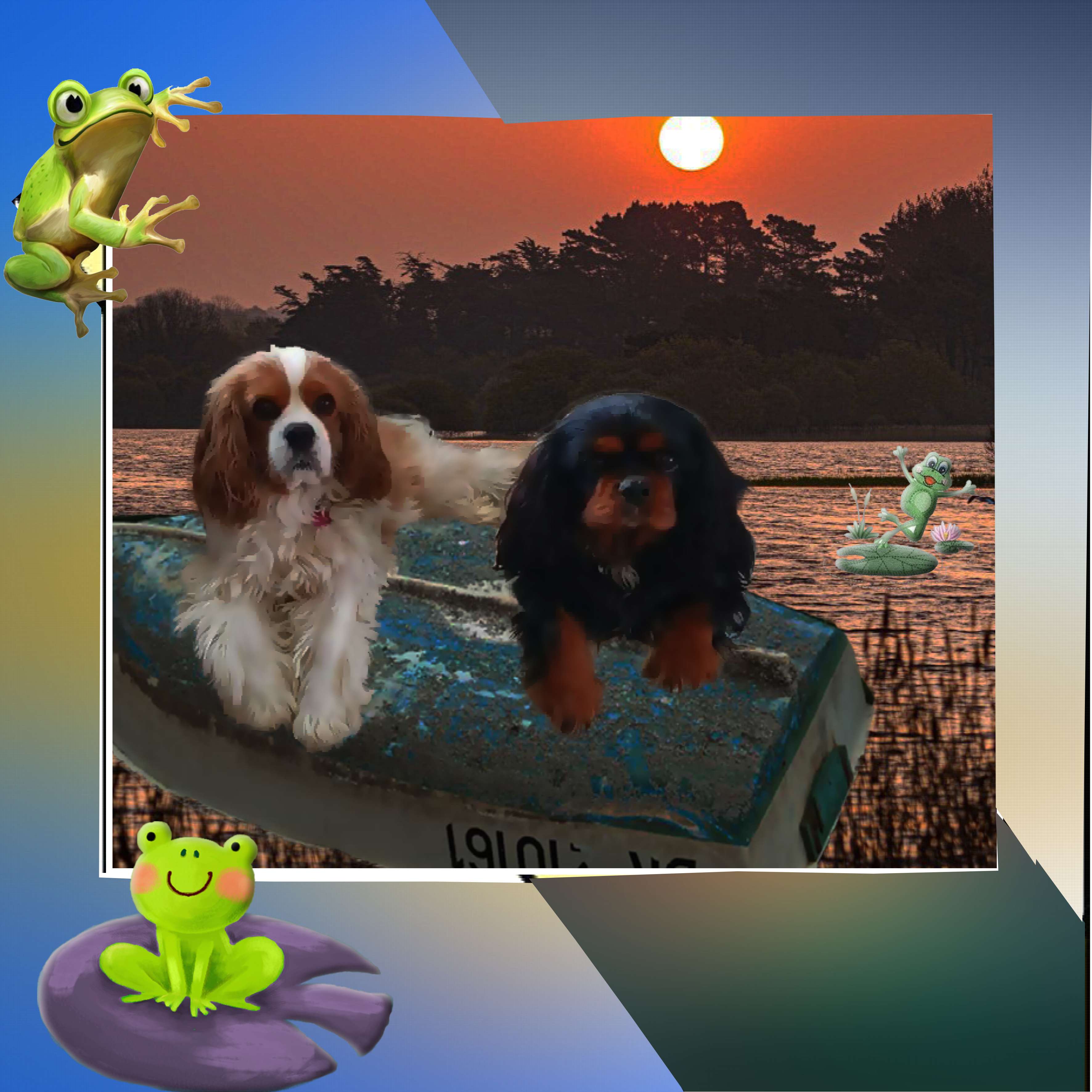 challenge fil rouge.jpg