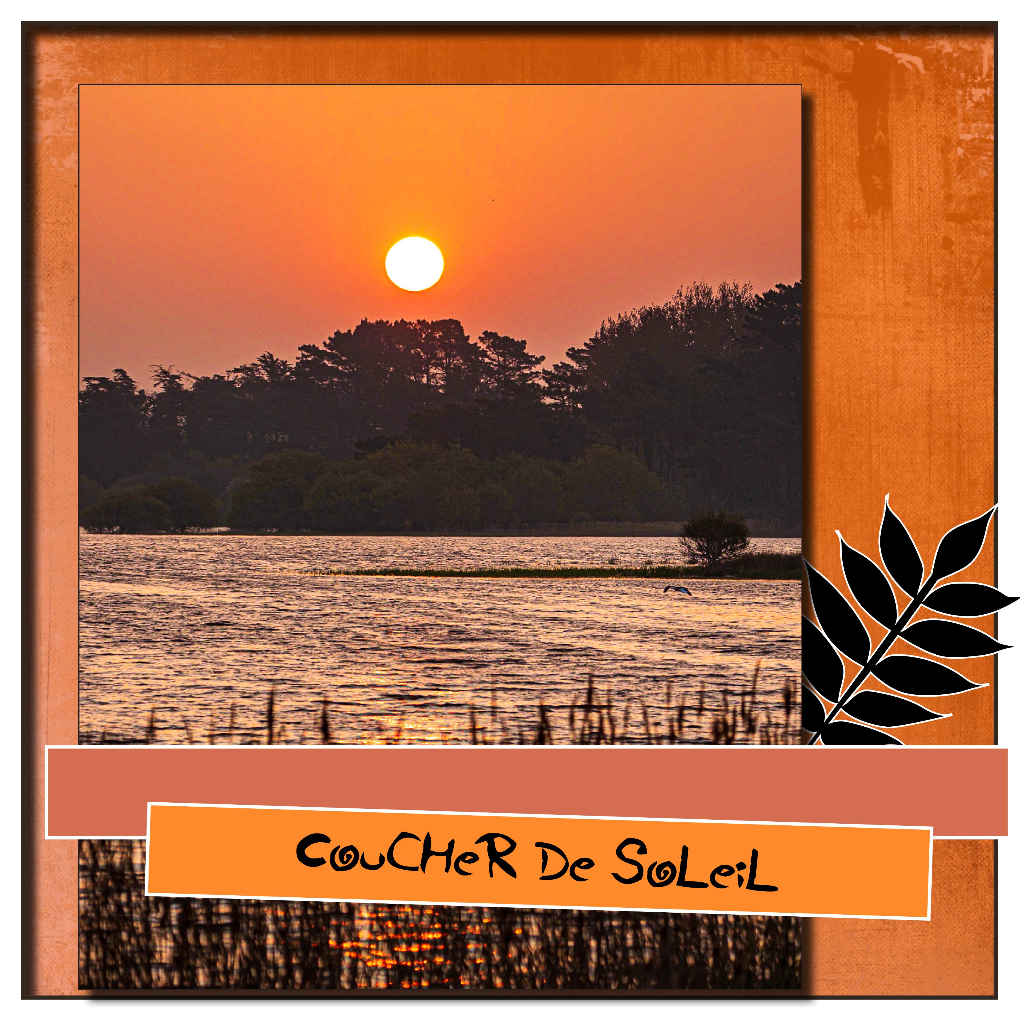 challenge fil rouge togwen.jpg