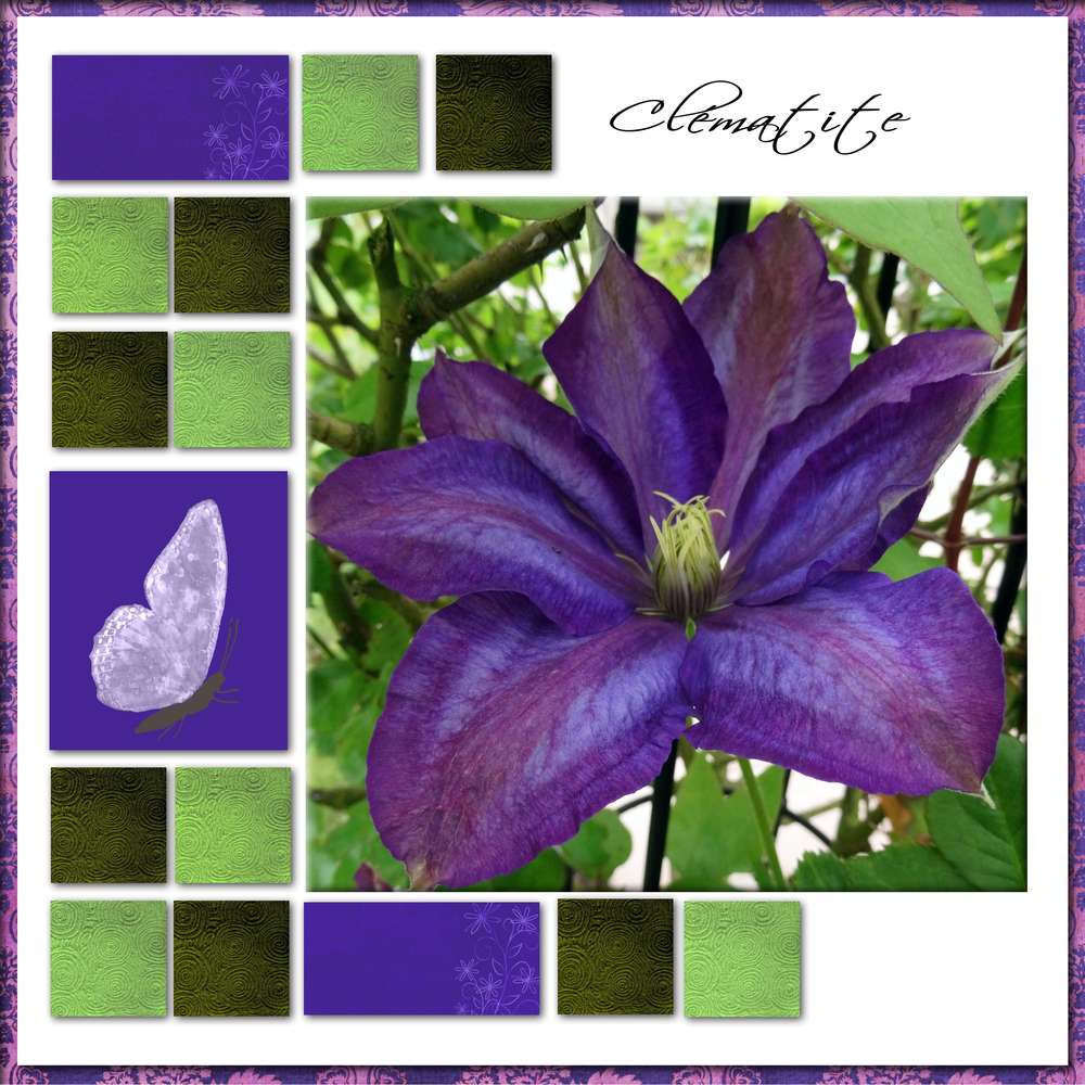 Challenge fleurs de printemps