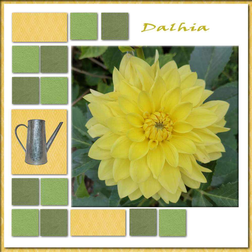 Challenge fleurs de printemps