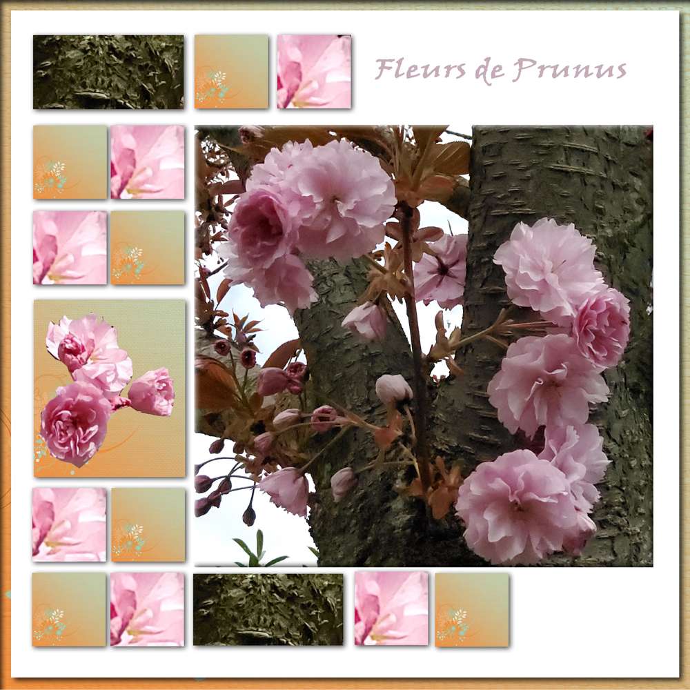 Challenge fleurs de printemps